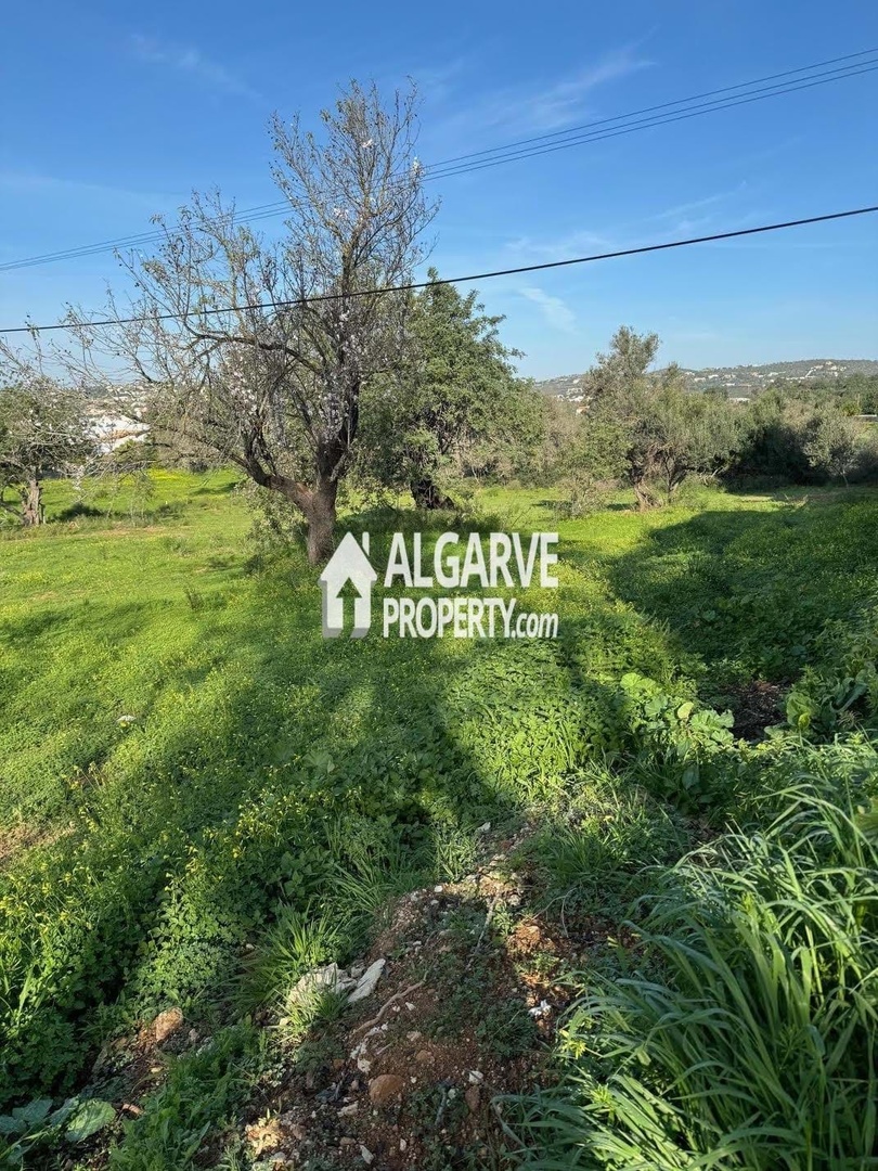 2 - sea view plot of land for sale in boliqueime algarve portugal