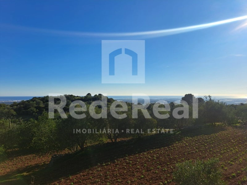 2 - plot of land for sale in santa bárbara de nexe algarve portugal