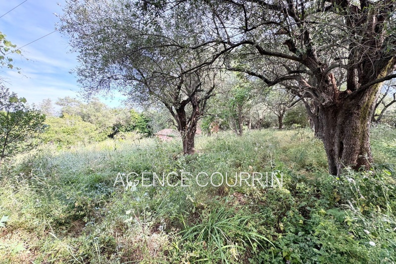 1 - venta terreno grasse alpes-marítimos francia