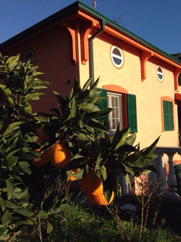 1 - venda casa vallebona liguria itália