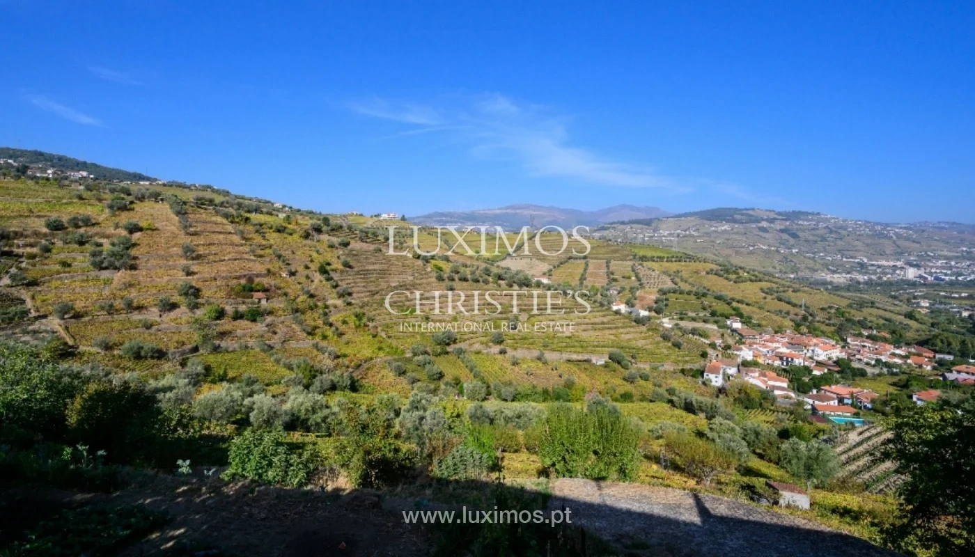 2 - venta propiedad lamego región norte portugal