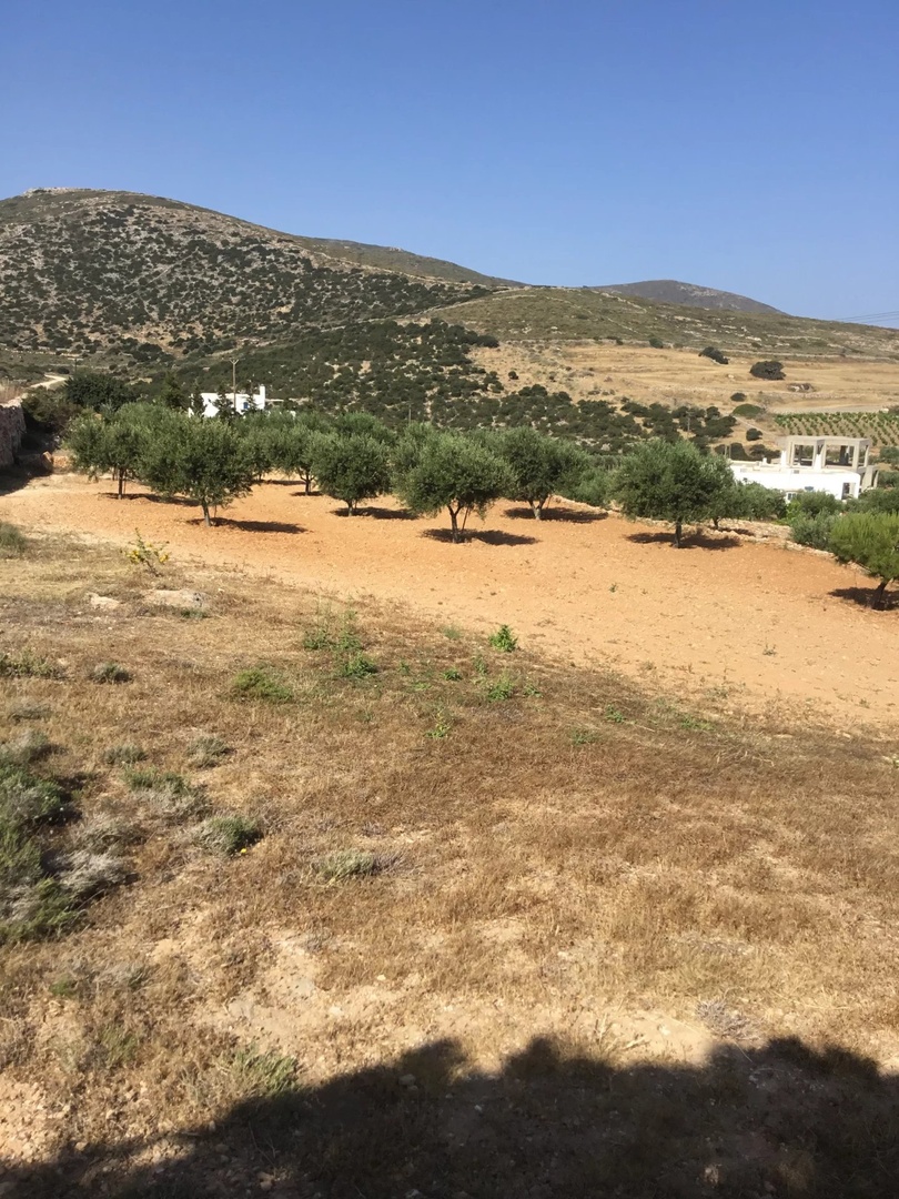 1 - verkoop terrein uitzicht op zee paros - cycladen zuid-egeïsche eilanden griekenland