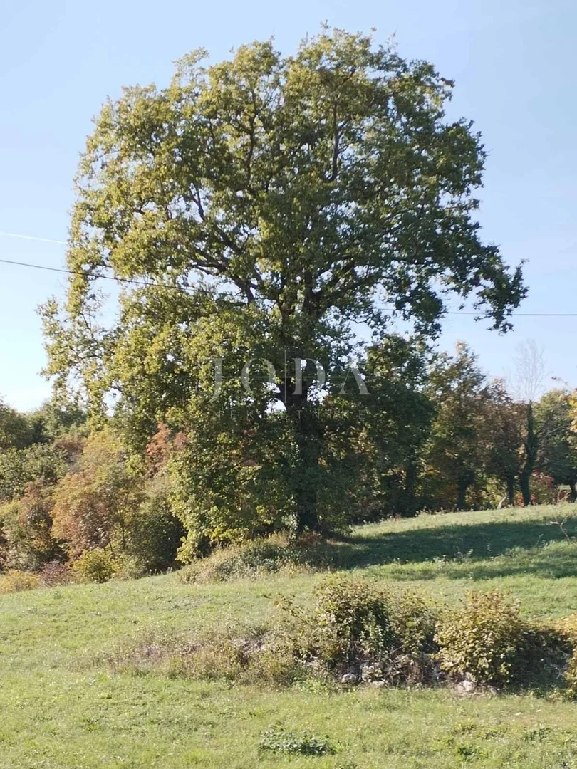 2 - plot of land for sale in kršan istria croatia