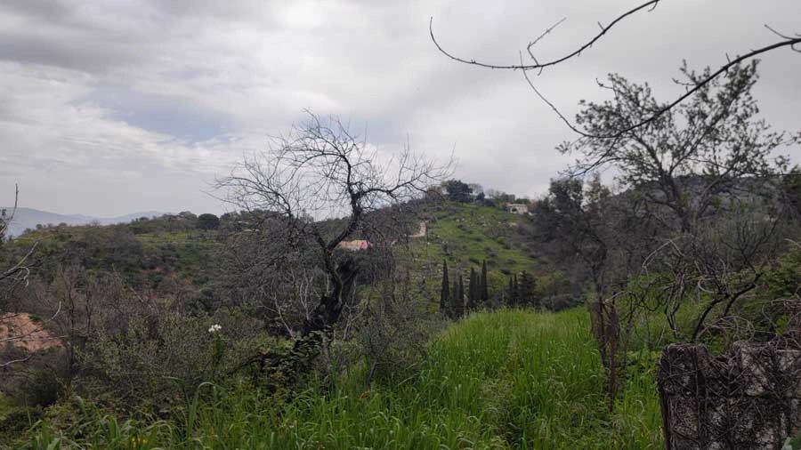 2 - vente maison vue mer loutses îles ioniennes grèce