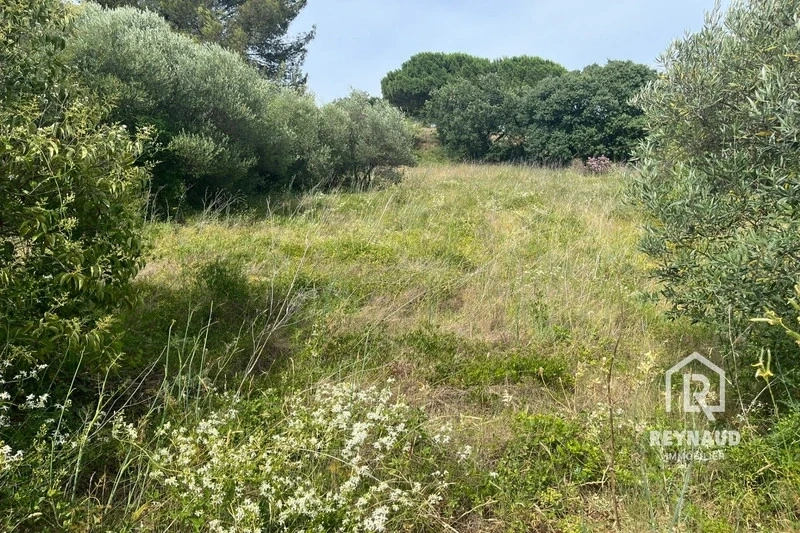 1 - venta terreno aspiran hérault francia