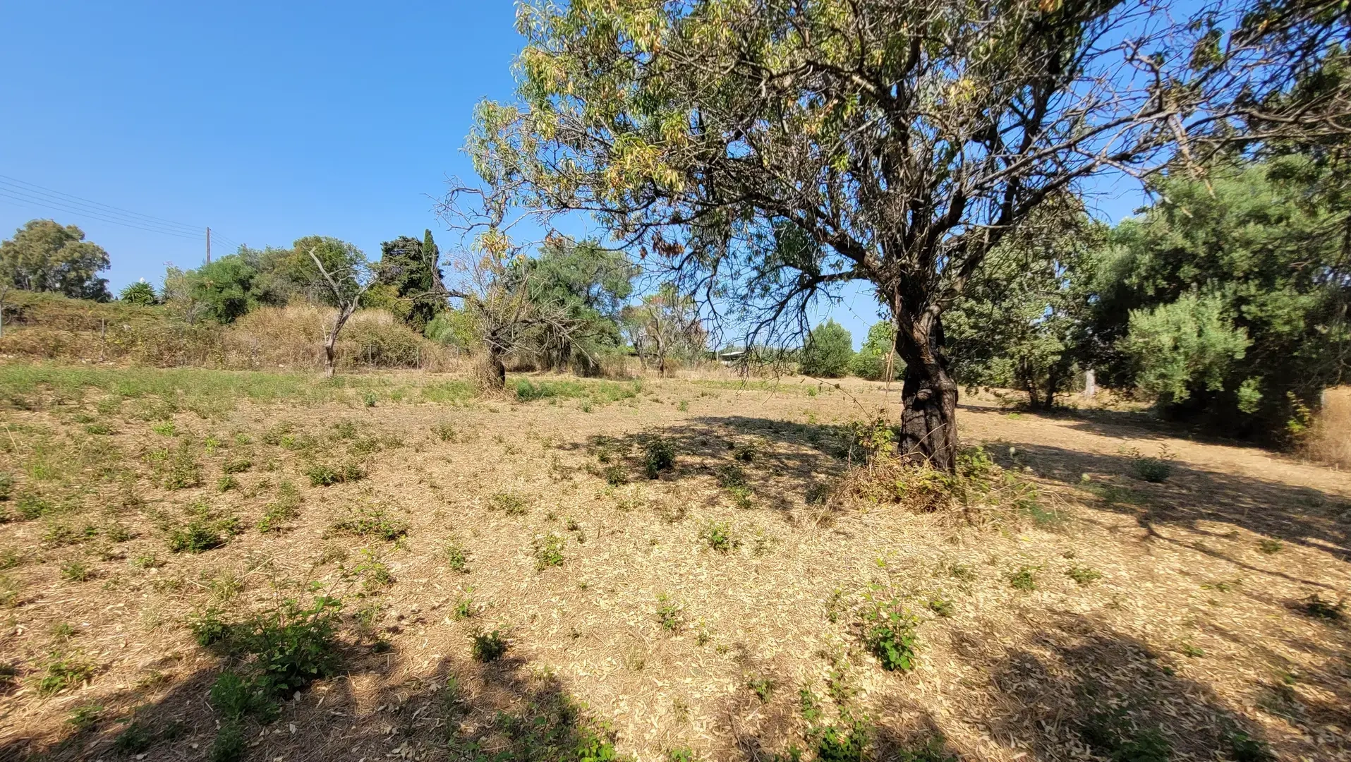 2 - vendita terreno corfu isole ioniche grecia