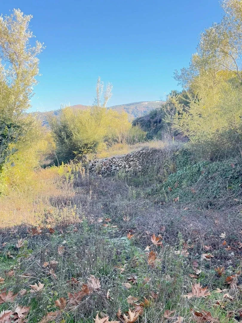 2 - plot of land for sale in artemisía peloponnese greece