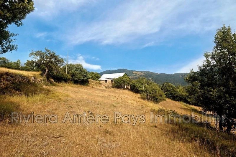 2 - verkauf haus péone alpes-maritimes frankreich
