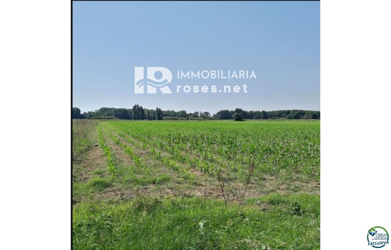 1 - estate for sale in girona catalonia spain