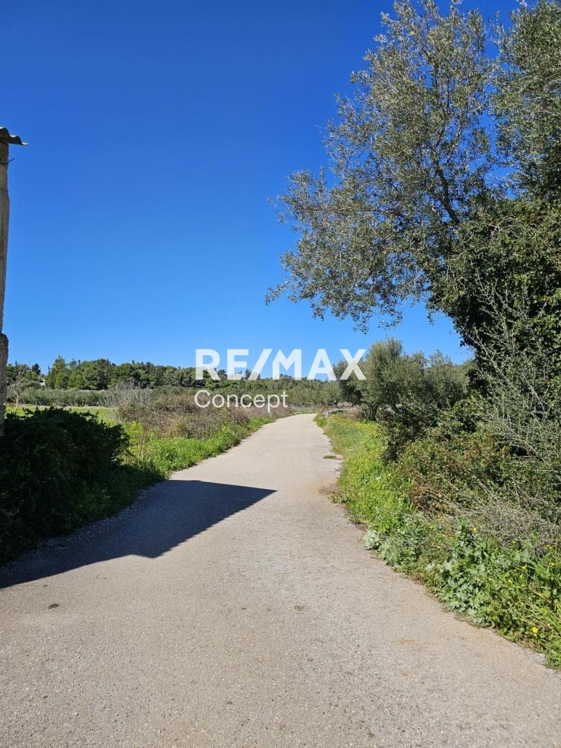 2 - venta terreno zante islas jónicas grecia