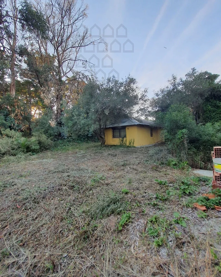 1 - house for sale in messina sicily italy