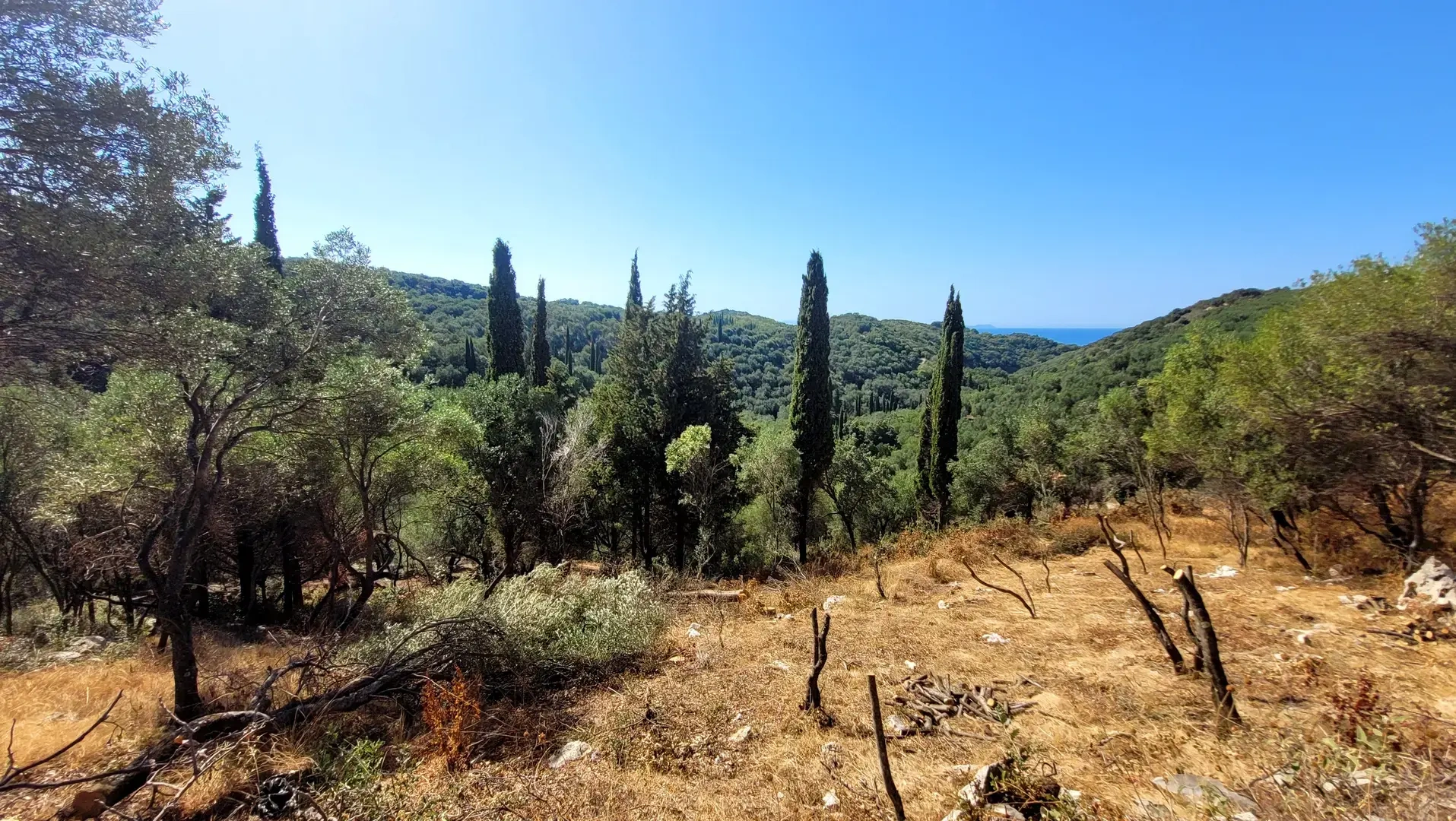 2 - vendita terreno vista mare corfu isole ioniche grecia