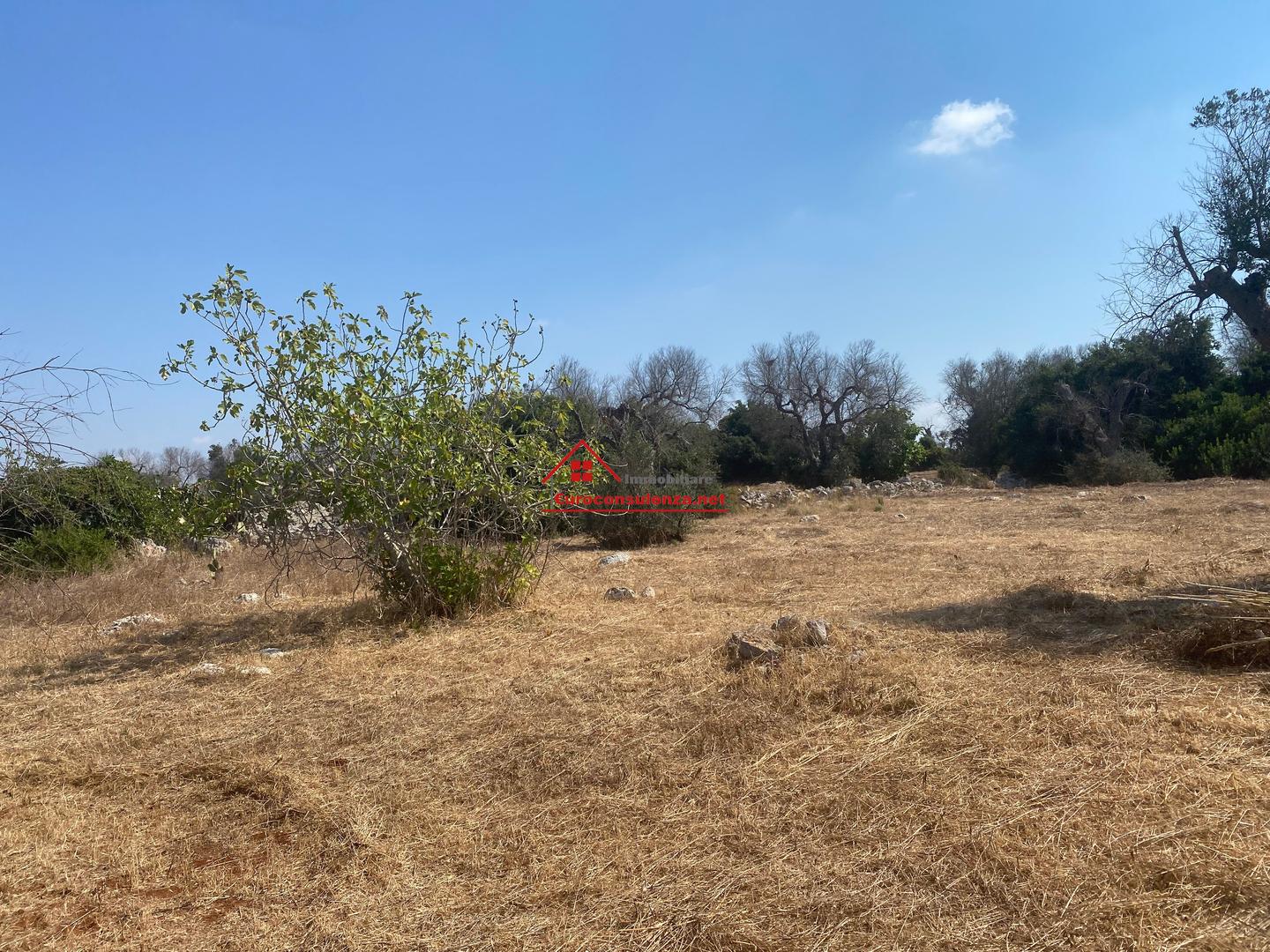 2 - plot of land for sale in ugento apulia italy