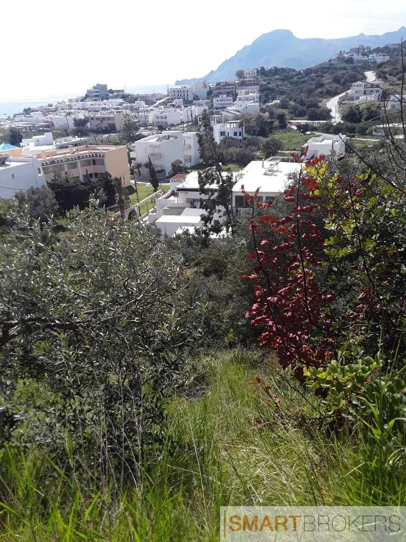 2 - vente terrain foínikas crète grèce