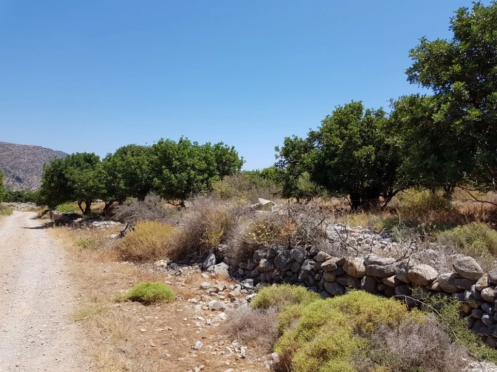 2 - sea view plot of land for sale in pláka crete greece