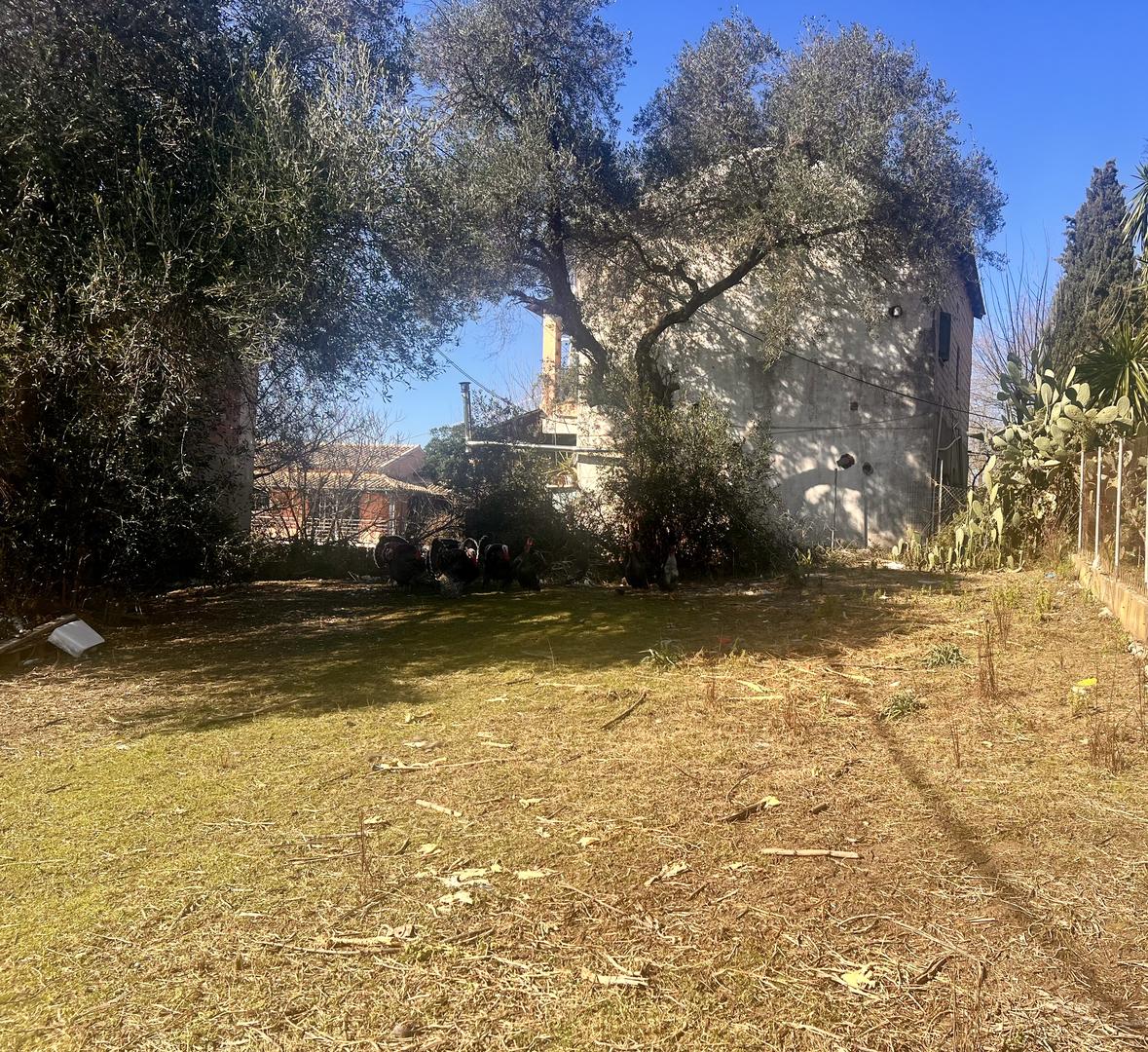 1 - vendita casa alepoú isole ioniche grecia