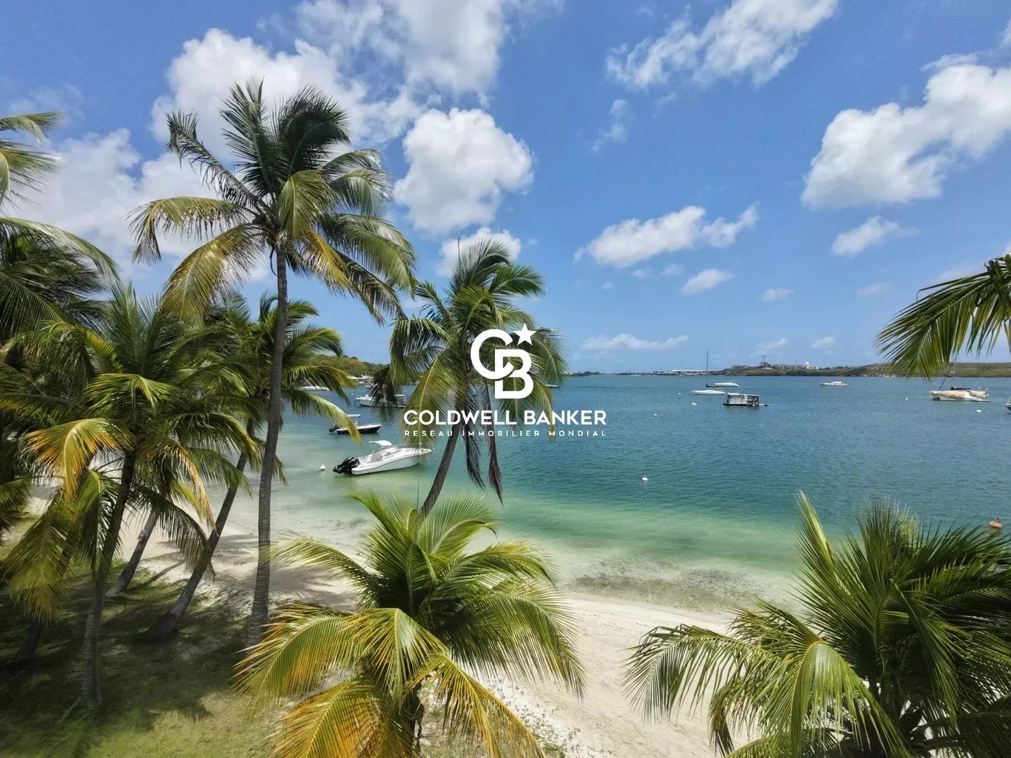 2 - vendita appartamento baie nettlé saint martin - antille francesi isole dei caraibi