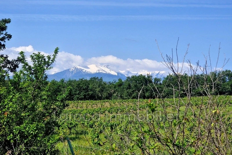 2 - vente terrain passa pyrénées-orientales france