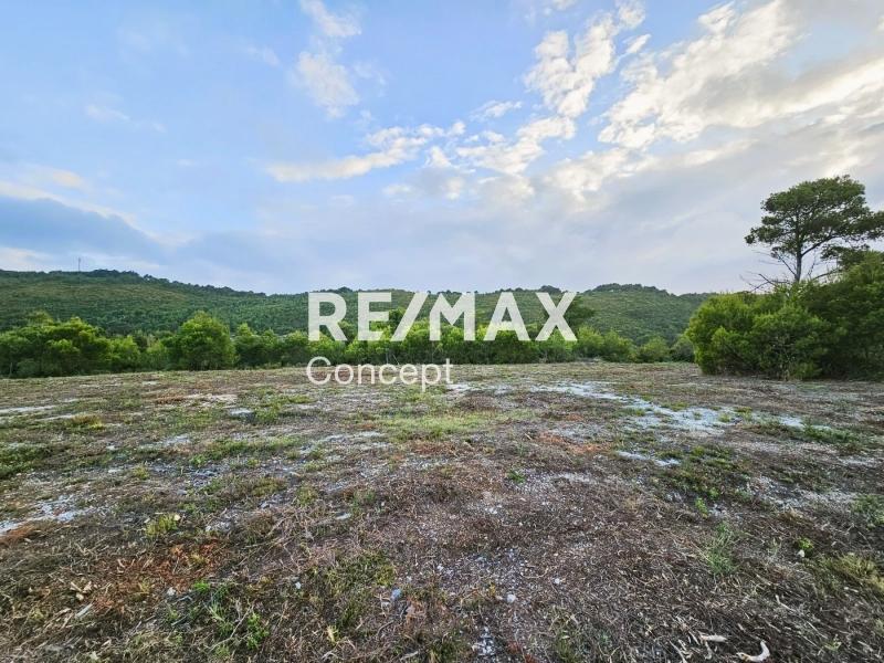 Terreno vista mare di 3 000 m²