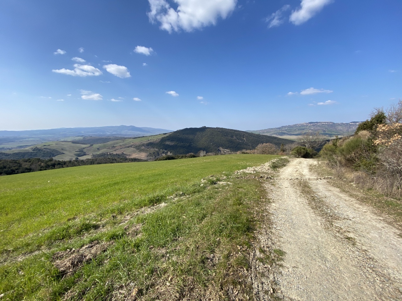 1 - plot of land for sale in pomarance tuscany italy