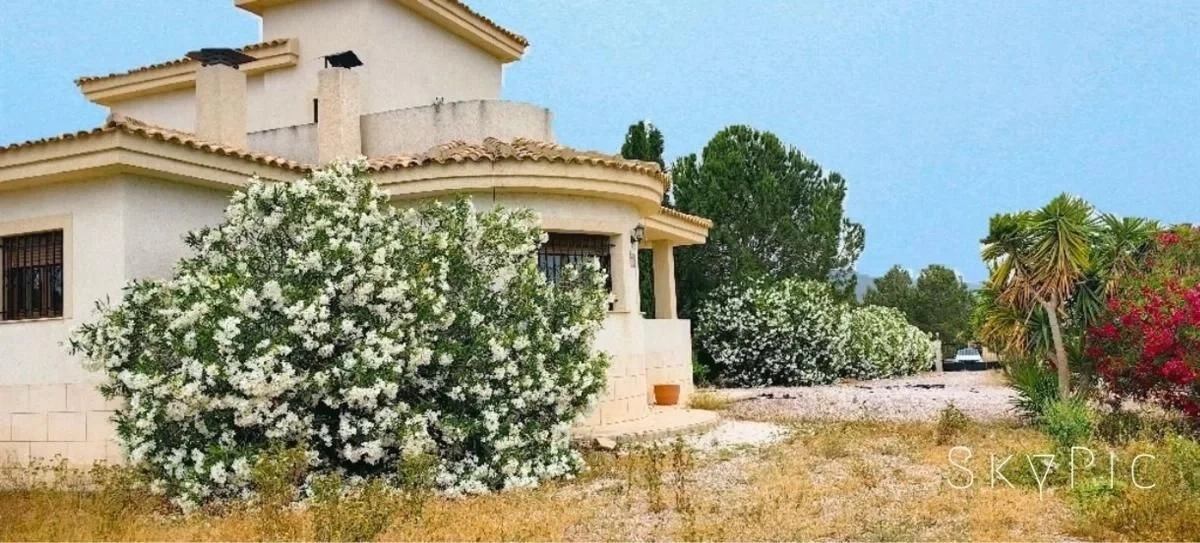 1 - verkauf haus pinoso valencia spanien
