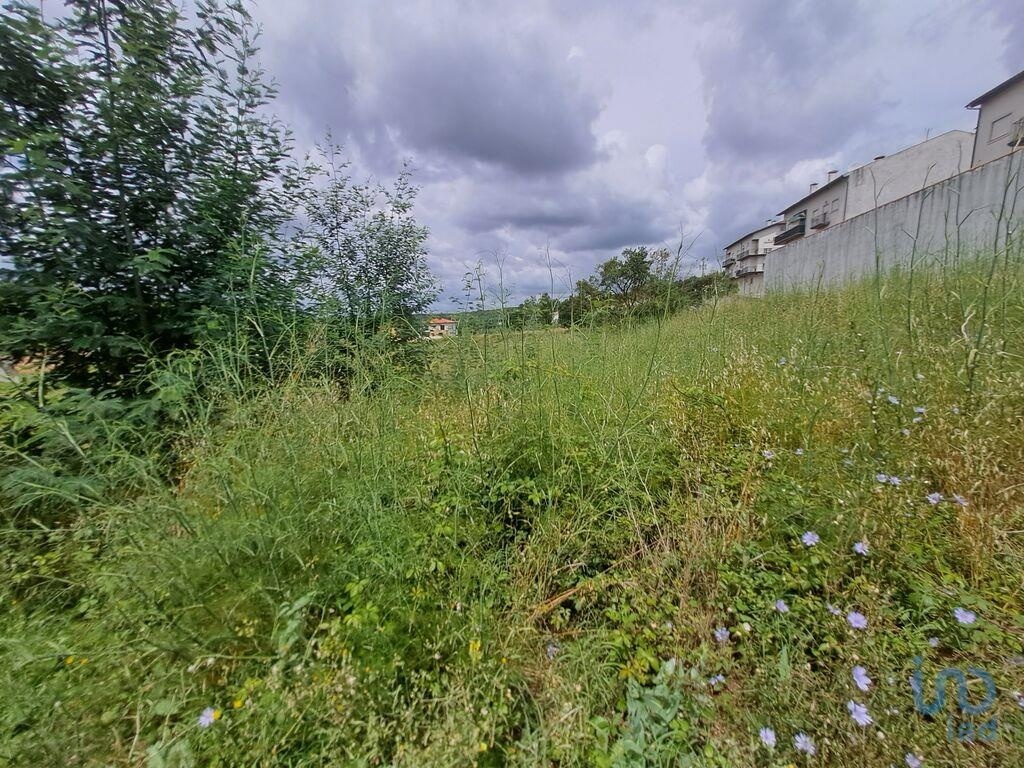 2 - venta terreno lousã región centro portugal