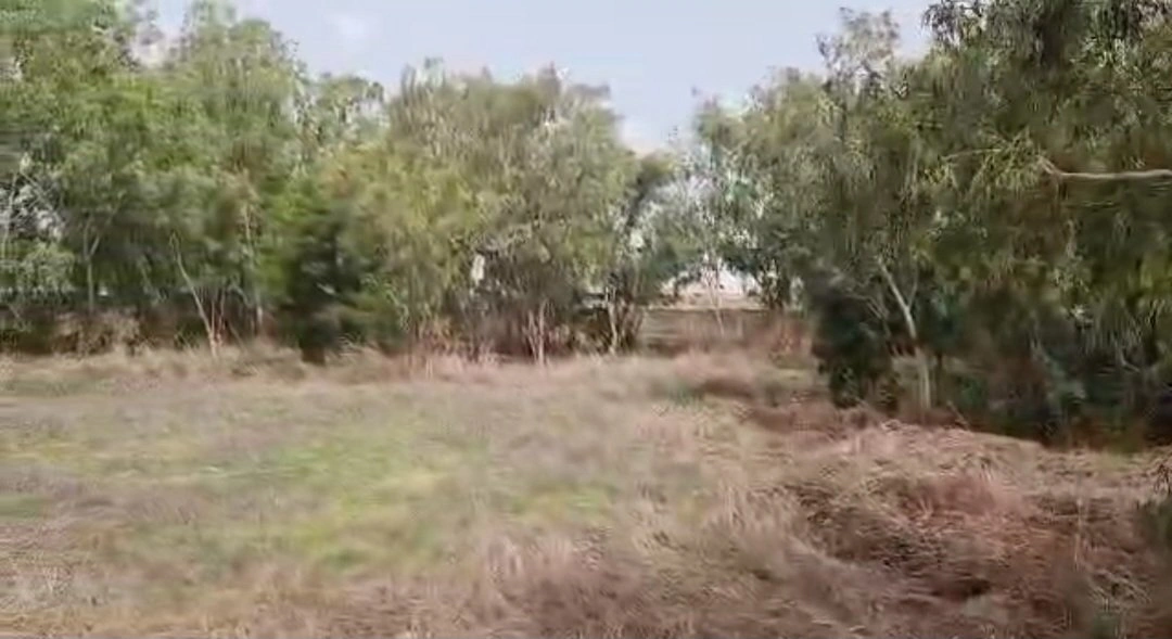 1 - vente terrain ngaring thiès sénégal