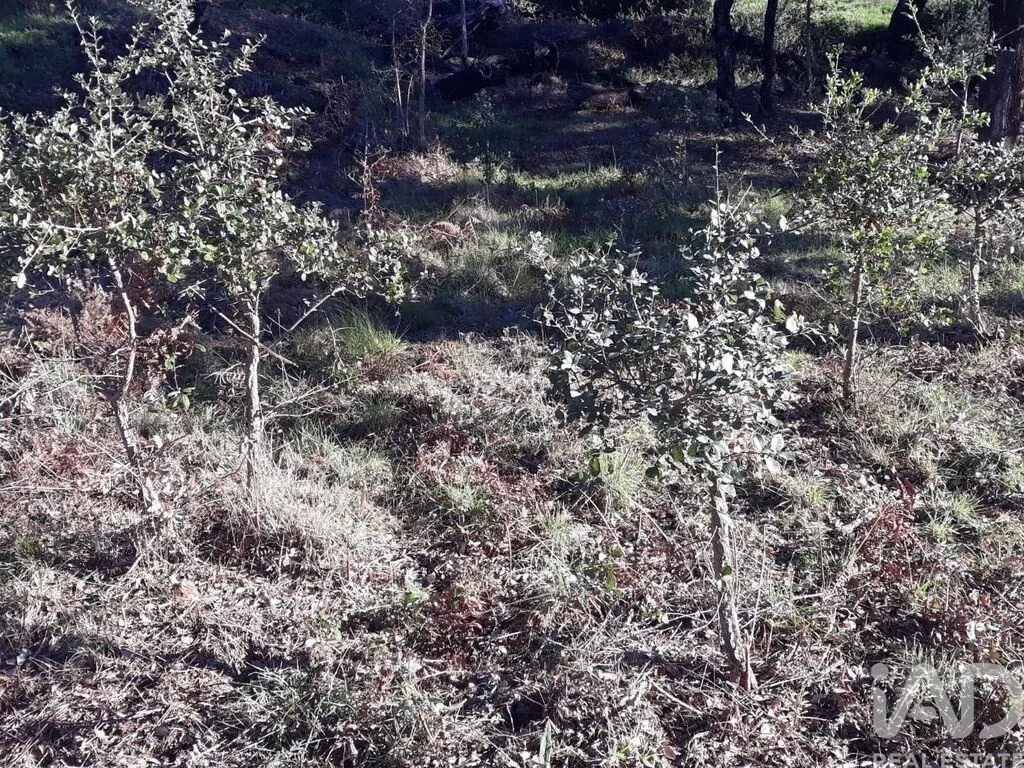2 - venta terreno monchique algarve portugal