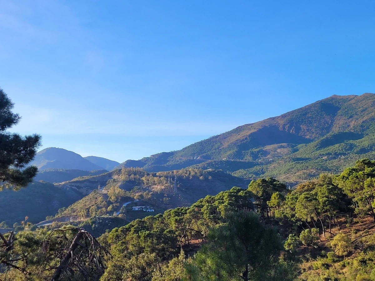 Terreno de 8 743 m²