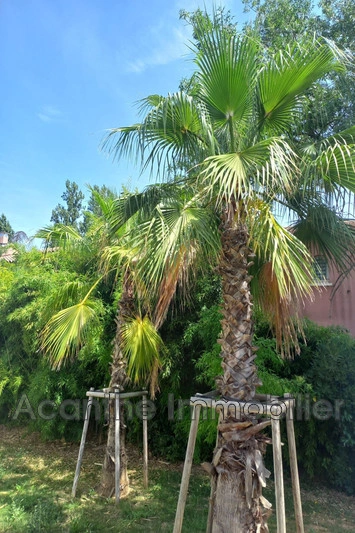 1 - verkoop appartement montpellier hérault frankrijk