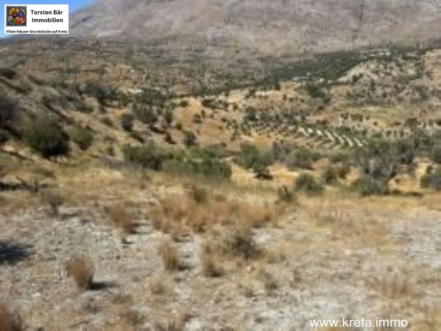 2 - vente terrain agia galini crète grèce