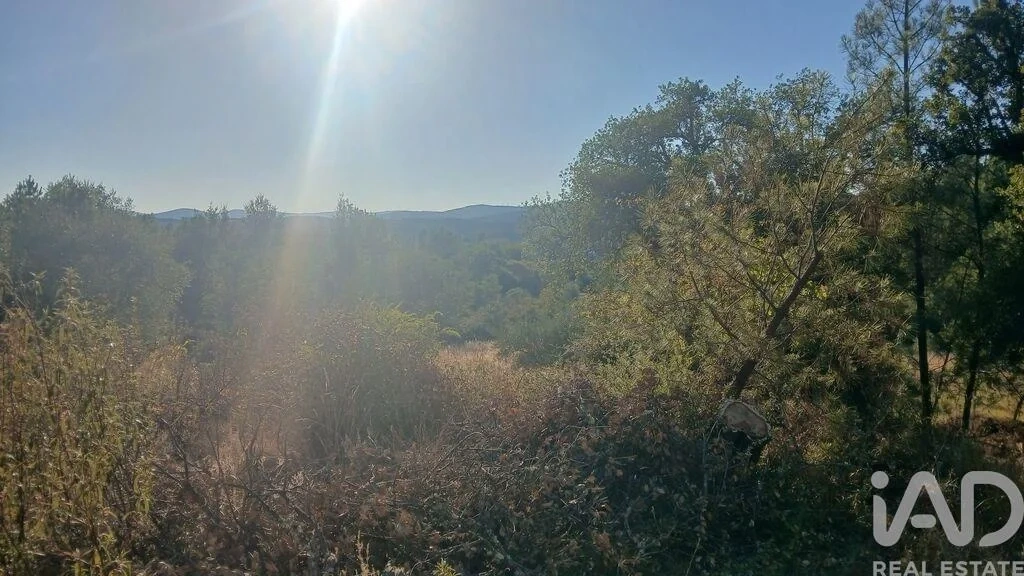 1 - plot of land for sale in castelo branco centro region portugal