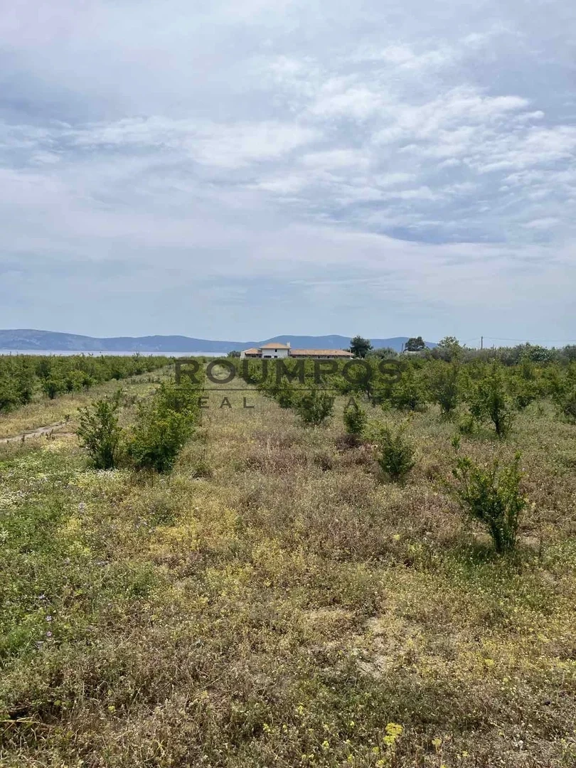 1 - vente terrain ermióni péloponnèse grèce