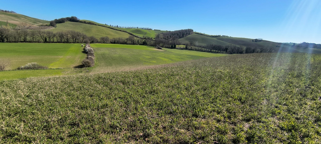 2 - business for sale in murlo tuscany italy