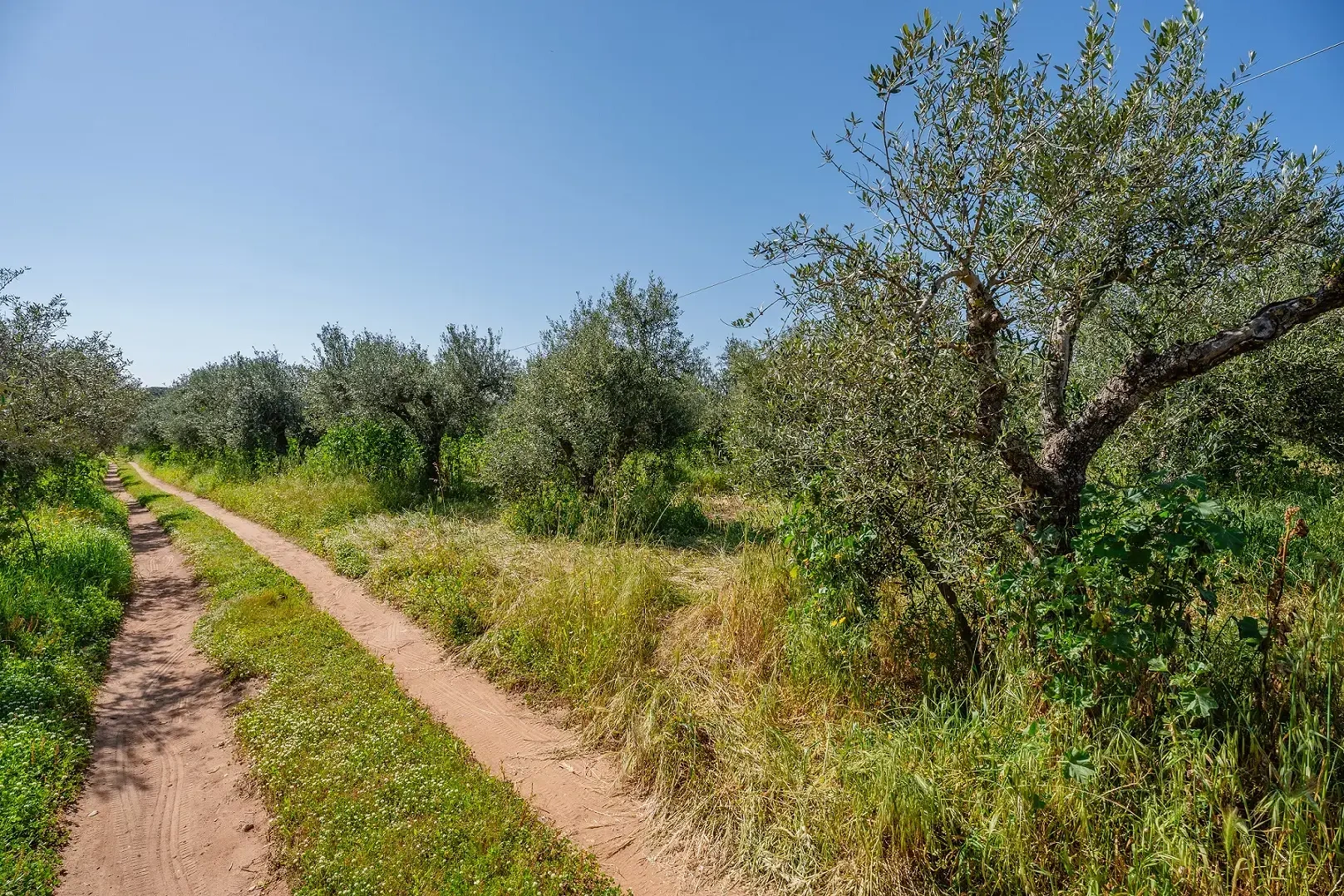 2 - vendita terreno vista mare gargaliánoi peloponneso grecia