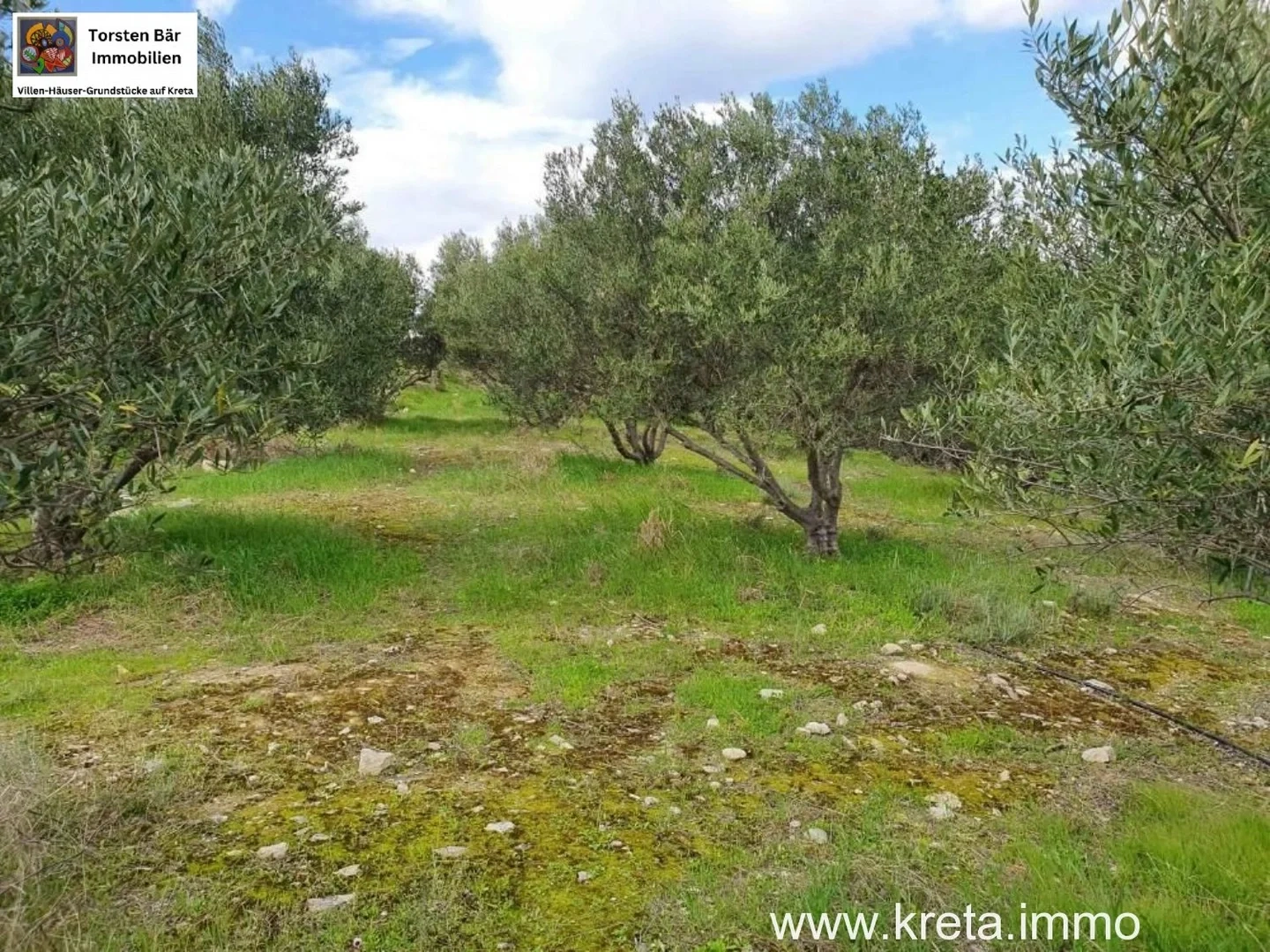 2 - plot of land for sale in pitsídia crete greece