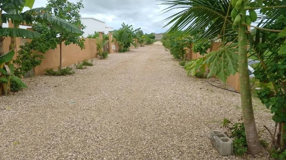 1 - venta terreno ngaring thiès senegal