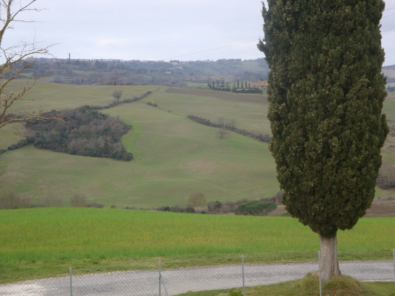 2 - vente terrain pomarance toscane italie