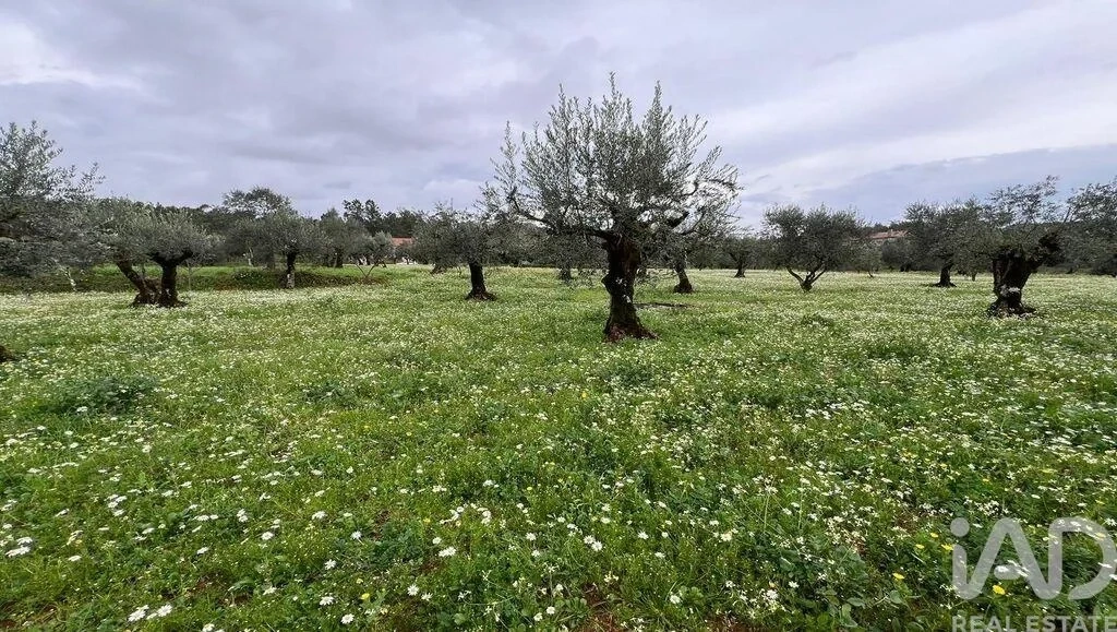 2 - venta terreno podentes región centro portugal
