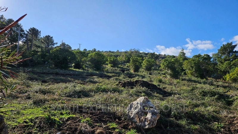 2 - verkauf grundstück meerblick sari-solenzara corse (du-sud) frankreich