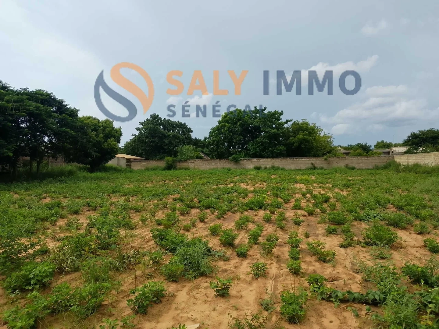 2 - vente terrain ngaring thiès sénégal