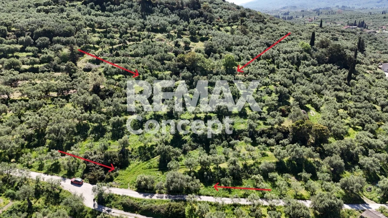 2 - продажа территория вид моря zante ионические острова греция