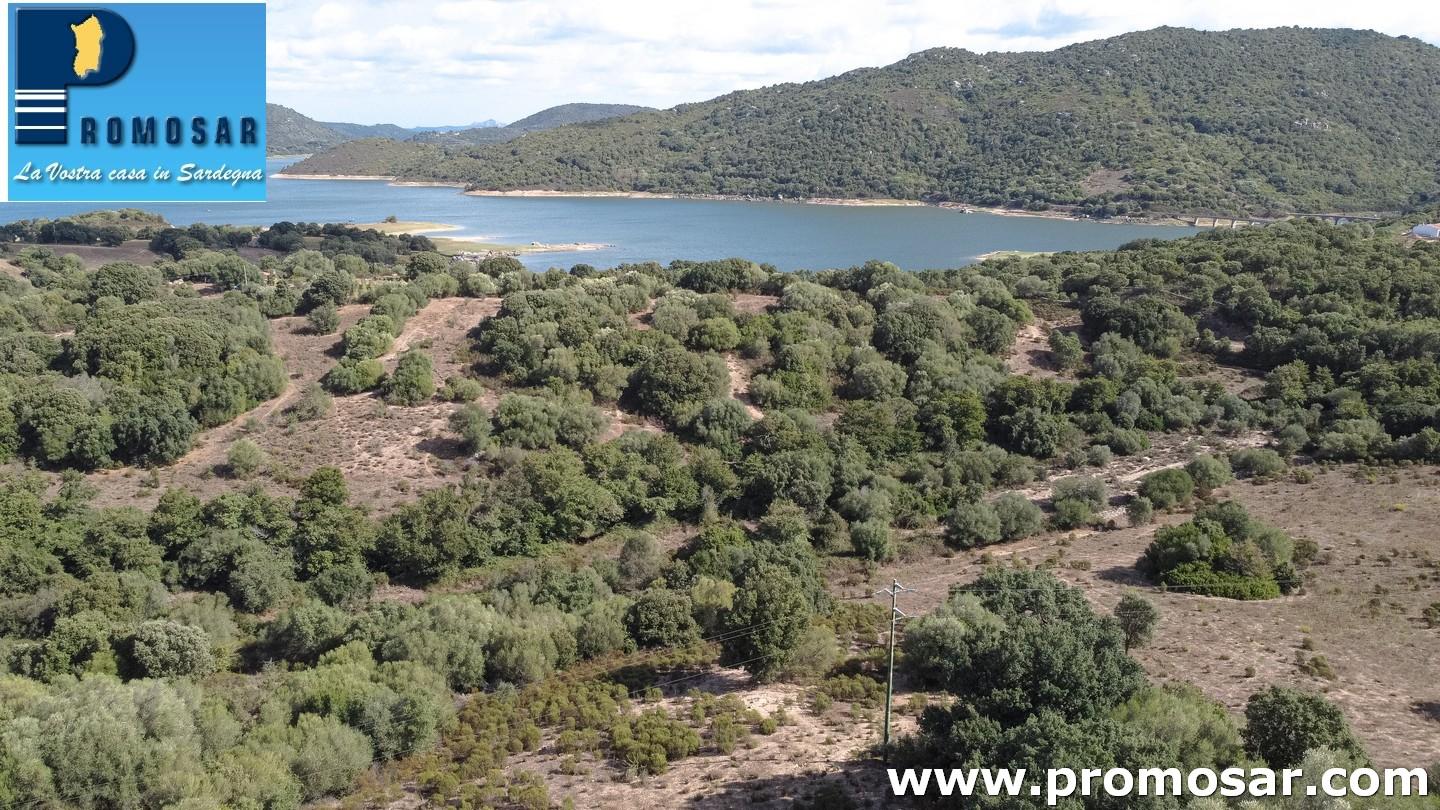2 - vendita proprietà sant'antonio di gallura sardegna italia