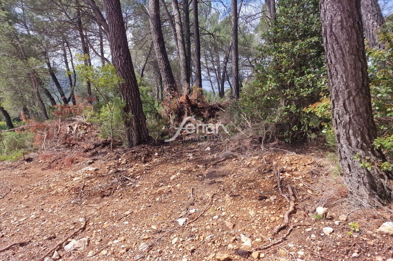 Terrain de 658 m²
