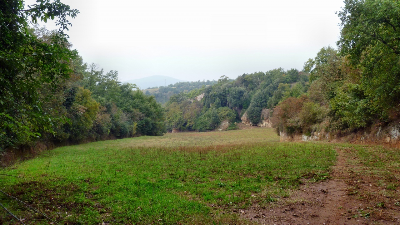 2 - business for sale in pitigliano tuscany italy