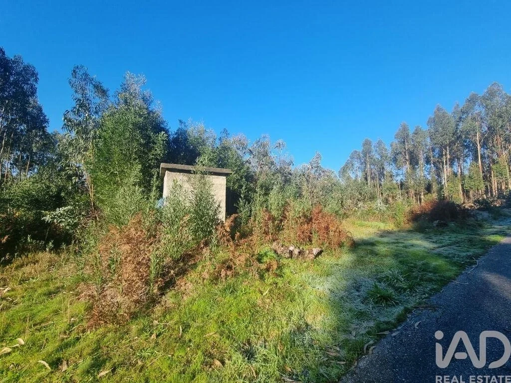 1 - plot of land for sale in mortágua centro region portugal