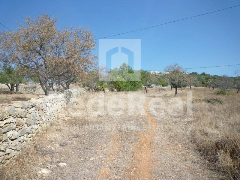 1 - vente terrain alfarrobeira algarve portugal