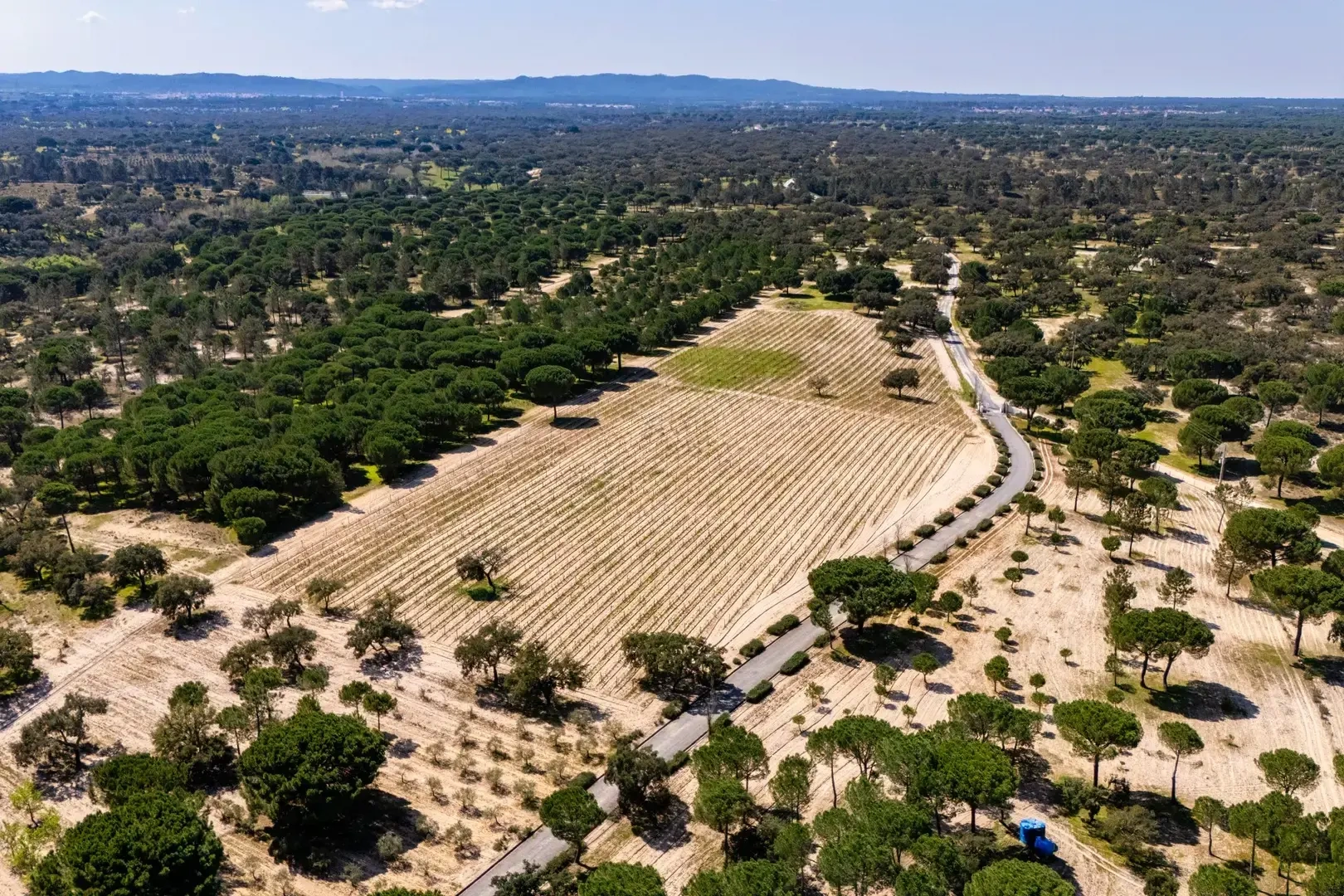2 - verkauf haus grândola alentejo portugal