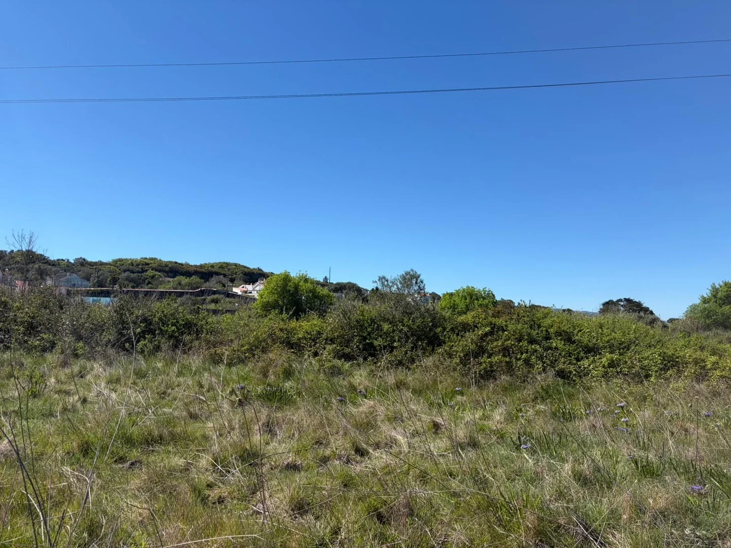 2 - plot of land for sale in pero pinheiro lisbon region portugal