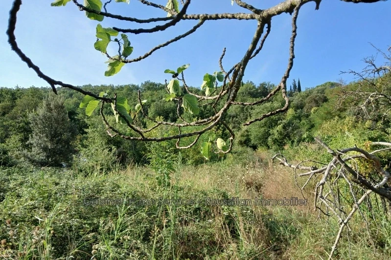 2 - verkoop terrein ceret pyrénées-orientales frankrijk